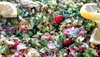 devour fresh vegetable salad